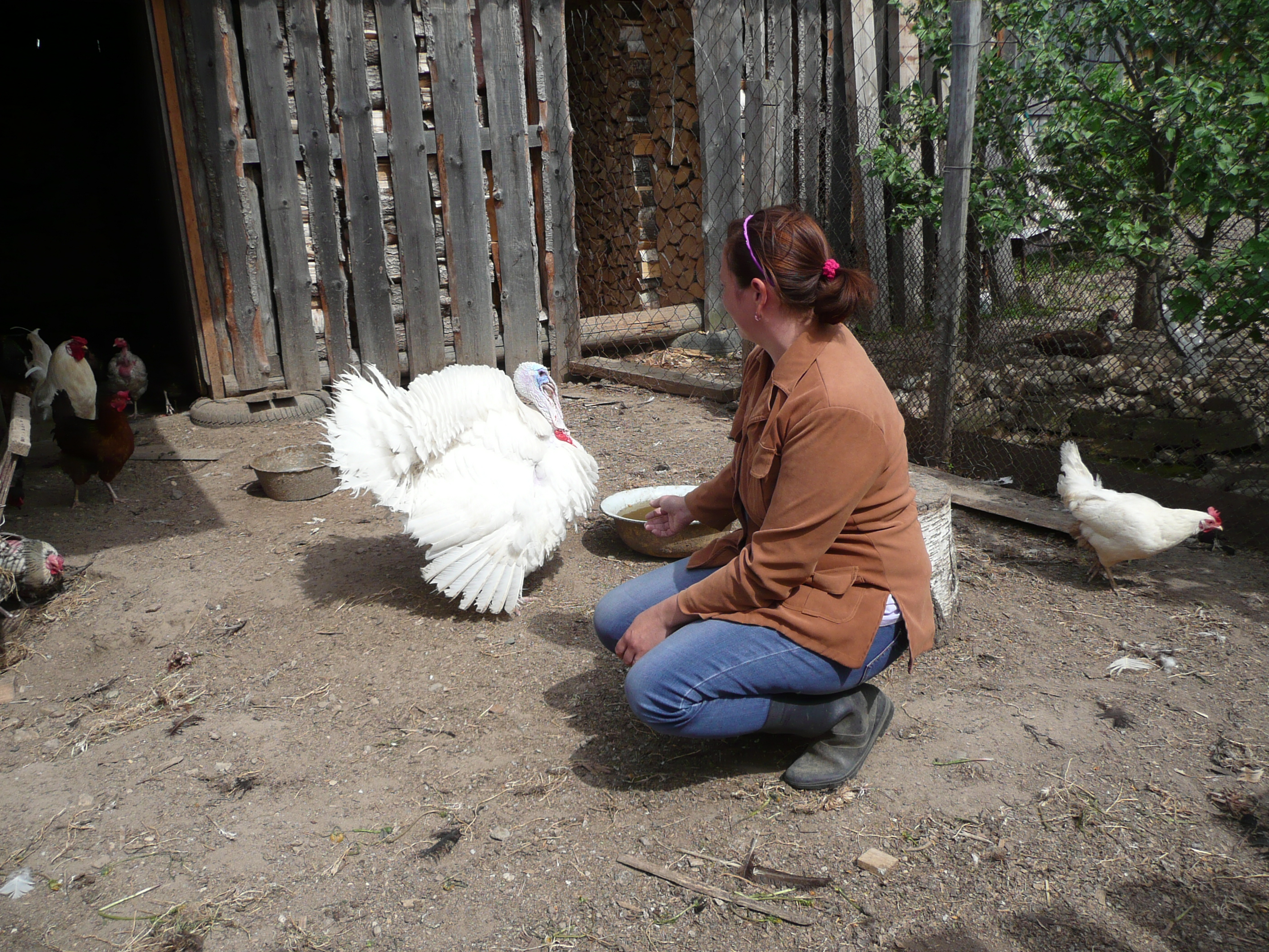 Социальный контракт – реальная помощь